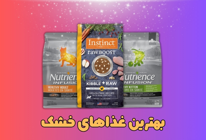 بهترین غذا های خشک