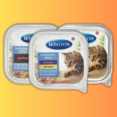 تصویر دسته بندی ووم گربه