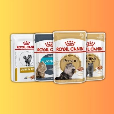 تصویر دسته بندی سوپ گربه